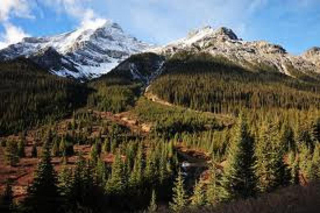 Hotel Ruidoso Luaran gambar